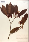 000017347-thumbnail.jpg