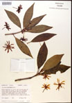 000017353-thumbnail.jpg