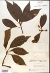 000017354-thumbnail.jpg
