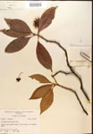 000017361-thumbnail.jpg