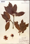 000017362-thumbnail.jpg