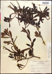 000017363-thumbnail.jpg
