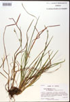 000017456-thumbnail.jpg