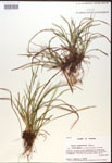 000017457-thumbnail.jpg