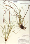 000017458-thumbnail.jpg