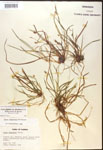 000017459-thumbnail.jpg