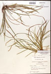 000017460-thumbnail.jpg