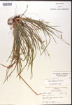 000017461-thumbnail.jpg