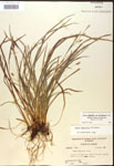 000017462-thumbnail.jpg