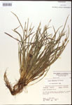 000017463-thumbnail.jpg