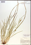 000017464-thumbnail.jpg