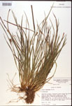 000017465-thumbnail.jpg