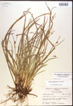 000017466-thumbnail.jpg