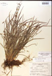 000017467-thumbnail.jpg
