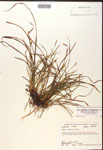 000017470-thumbnail.jpg