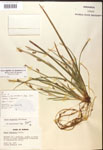 000017471-thumbnail.jpg
