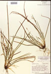 000017472-thumbnail.jpg