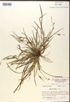 000017473-thumbnail.jpg