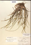 000017475-thumbnail.jpg