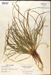 000017479-thumbnail.jpg
