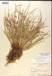 000017480-thumbnail.jpg