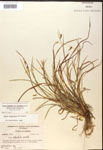 000017482-thumbnail.jpg