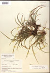 000017483-thumbnail.jpg