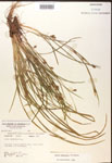 000017485-thumbnail.jpg
