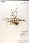 000017488-thumbnail.jpg
