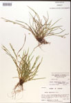 000017489-thumbnail.jpg
