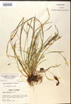 000017490-thumbnail.jpg