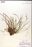 000017493-thumbnail.jpg