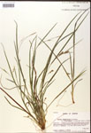 000017494-thumbnail.jpg