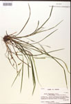 000017496-thumbnail.jpg