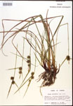 000017502-thumbnail.jpg