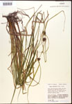 000017504-thumbnail.jpg