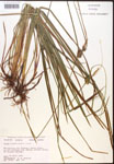 000017507-thumbnail.jpg
