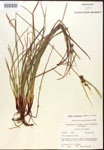000017508-thumbnail.jpg
