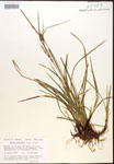000017511-thumbnail.jpg