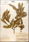 000017654-thumbnail.jpg