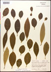 000017661-thumbnail.jpg
