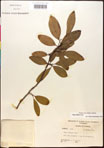 000017664-thumbnail.jpg