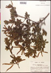 000017719-thumbnail.jpg