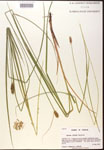 000017774-thumbnail.jpg