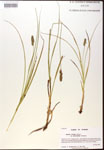 000017775-thumbnail.jpg