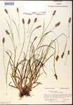 000017777-thumbnail.jpg