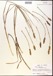 000017778-thumbnail.jpg