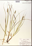 000017779-thumbnail.jpg