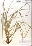 000017780-thumbnail.jpg