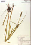 000017781-thumbnail.jpg
